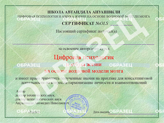 Образец сертификата о прохождении онлайн курса ВКП 